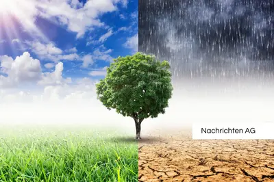 Nachhaltige Gartenkunst: Pflanzen für den Klimawandel in der Prignitz!