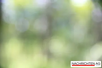 Traumhaftes Baugrundstück: Sichern Sie sich Ihre sonnige Oase!