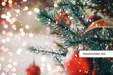 Weihnachtsbaum selbst schlagen: Festtagszauber bei Neuzelle erleben!