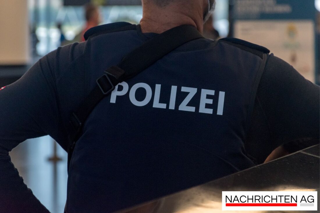 Hohen Neuendorf informiert über die steigende Wildschweinpopulation in Bergfelde, Umgang und Schutzmaßnahmen für Anwohner.