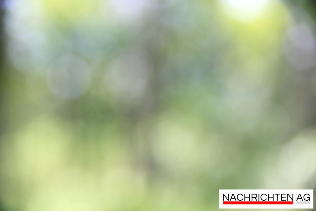 Lanz: Frank Borchert aus Amtsausschuss abberufen – Skandal um Abstimmung!