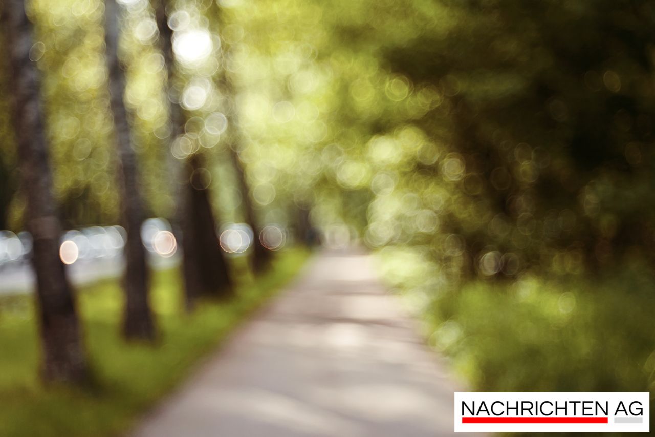 Schönefeld Trail: Ein neues Abenteuer in der Eifel für Groß und Klein!