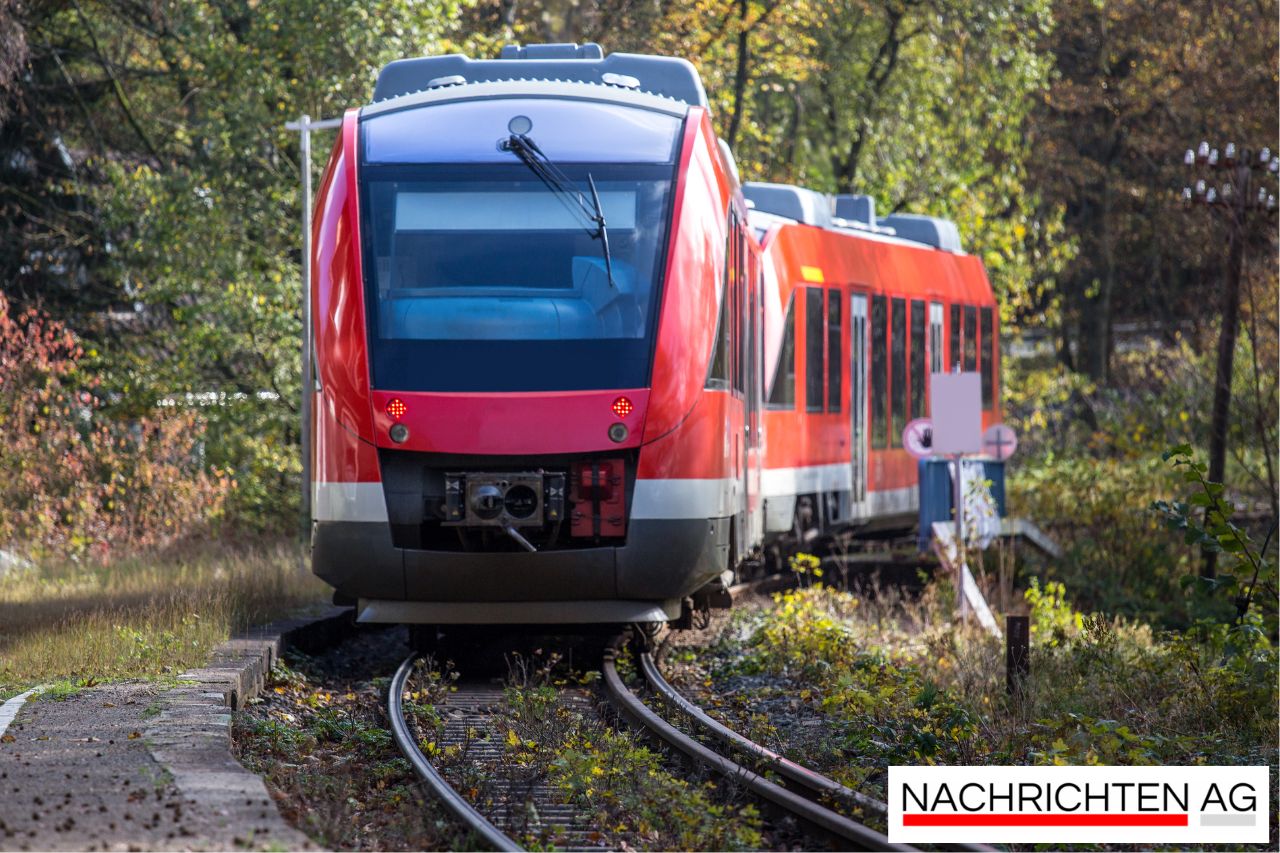 Zauberhafte Nikolausfahrt: Geschenke und Weihnachtszauber im Zug!